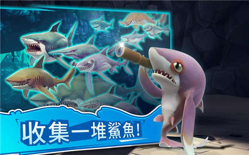 鲨鱼进化