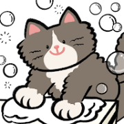 猫猫洗衣下载 猫猫洗衣下载
