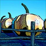 花园守护者中文版手机版v1.0 花园守护者中文版手机版v1.0