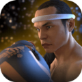 泰拳2:格斗冲突最新安卓版 泰拳2:格斗冲突最新安卓版