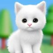 猫咪的选择免广告版 v1.0.4 猫咪的选择免广告版 v1.0.4