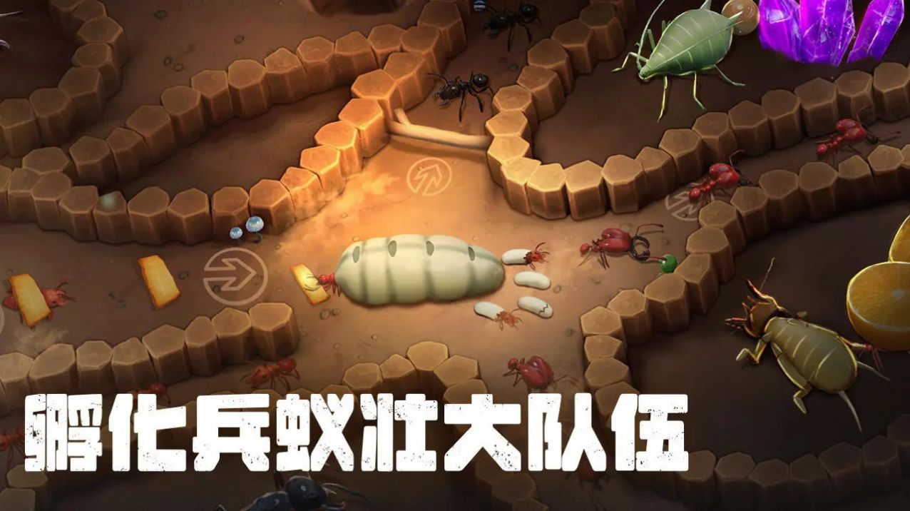 蚂蚁打不过官方最新版图片1