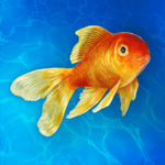 水族馆模拟器手游 v0.164 水族馆模拟器手游 v0.164