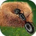 蚂蚁打不过最新版 v1.0.0 蚂蚁打不过最新版 v1.0.0