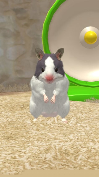 我的仓鼠无限金币版