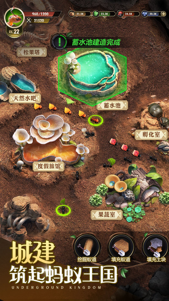 小小蚁国手机版下载