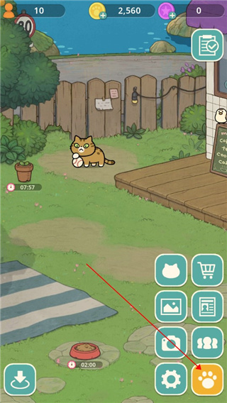 神秘猫咪字典正版 v0271