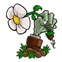 植物大战僵尸bt拓展版 v0.80.00 植物大战僵尸bt拓展版 v0.80.00