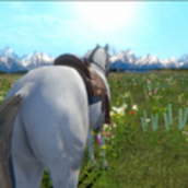 今天你骑马了吗最新版 v1.0 今天你骑马了吗最新版 v1.0