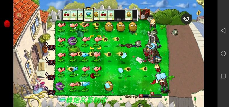 pvz小葵花版下载