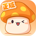 冒险岛枫之传说安卓最新版 v1.91.4196 冒险岛枫之传说安卓最新版 v1.91.4196