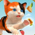 沙雕猫模拟器 V1.0.1 沙雕猫模拟器 V1.0.1