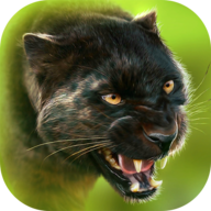 猎豹模拟器ol手机版 v1.3.2 猎豹模拟器ol手机版 v1.3.2