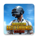 pubg国际服地铁求生手游 v2.9.0 pubg国际服地铁求生手游 v2.9.0
