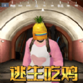 菠萝头吃鸡官方版 v1.0 菠萝头吃鸡官方版 v1.0