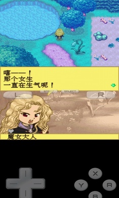 牧场物语精灵驿站中文版