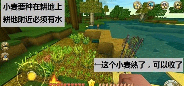 迷你世界2024官方最新版 v1.35.0