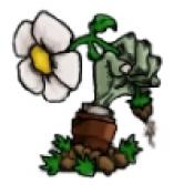植物大战僵尸苏戏版手机版 v1.0.7by 植物大战僵尸苏戏版手机版 v1.0.7by
