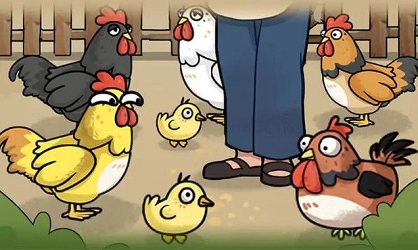 养鸡日记手游