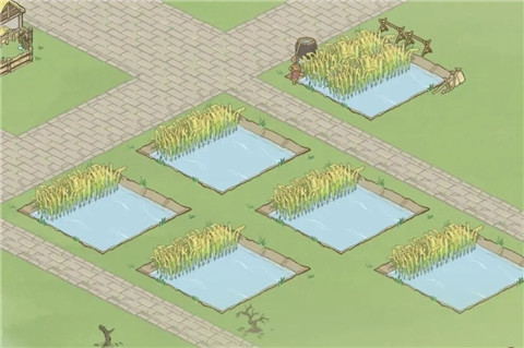 解忧小村落红包版 v1.0.19