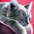 猫咪旅店官网版 v2.1.10 猫咪旅店官网版 v2.1.10