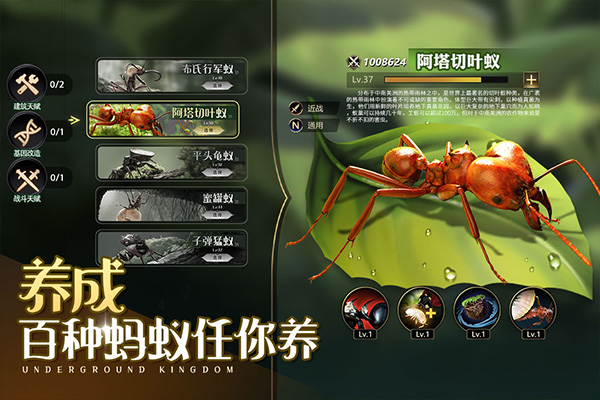 小小蚁国手游官方正版 v1.64.0安卓版