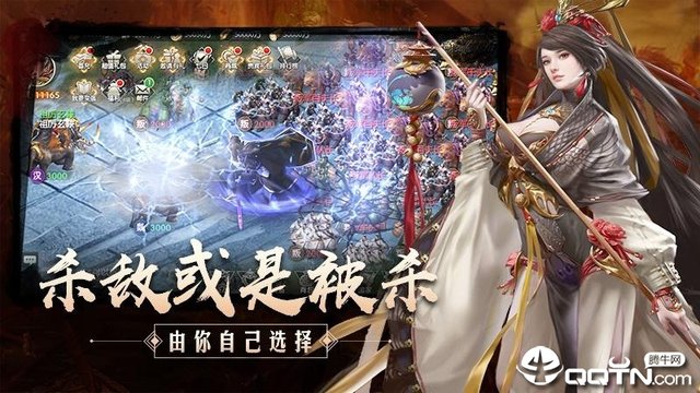 三国英雄志华为版