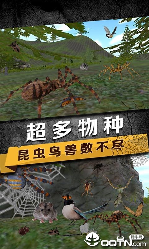 蜘蛛模拟生存