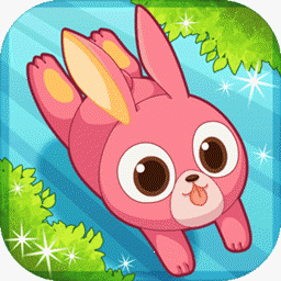 Pet Pet Dash Pet Pet Dash